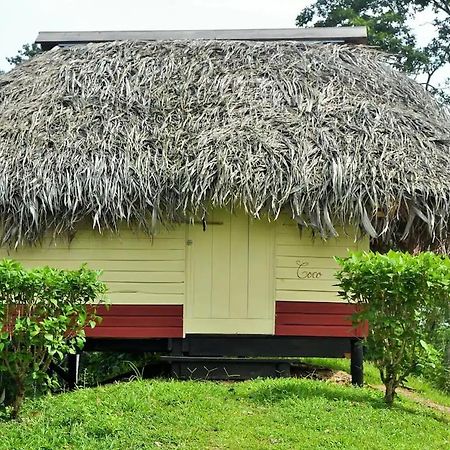 Nathylodge Bocas del Toro Extérieur photo