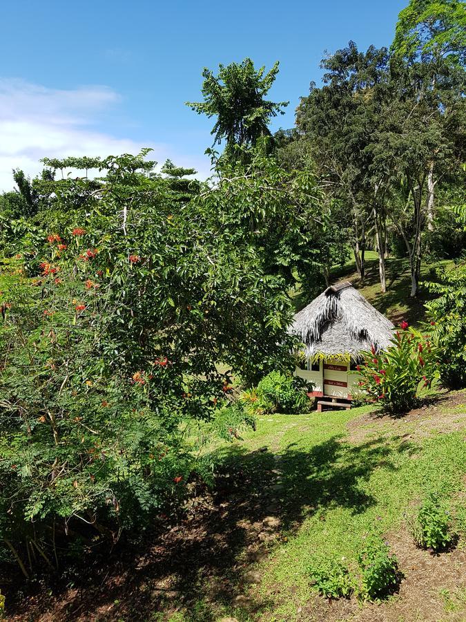 Nathylodge Bocas del Toro Extérieur photo